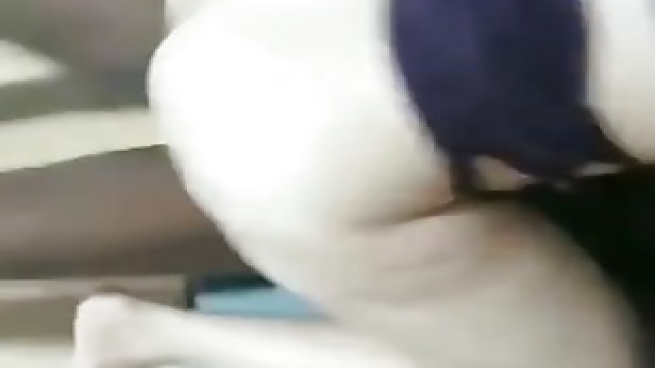 Türkçe Grup Porno - Porno  Türk Porno  Sex Sikiş İzle  Türkçe Full Hd